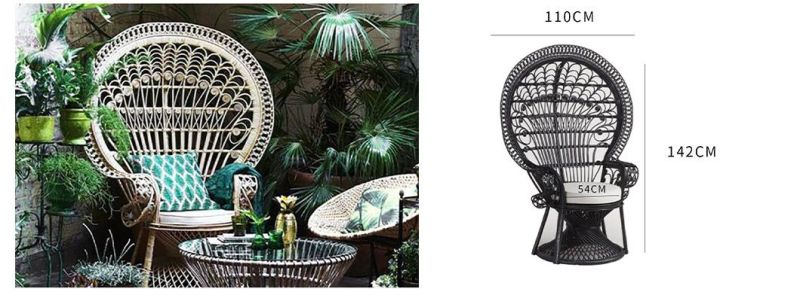 Outdoor Customized Garden Furniture Metal Frame Plastic Rattan Chair