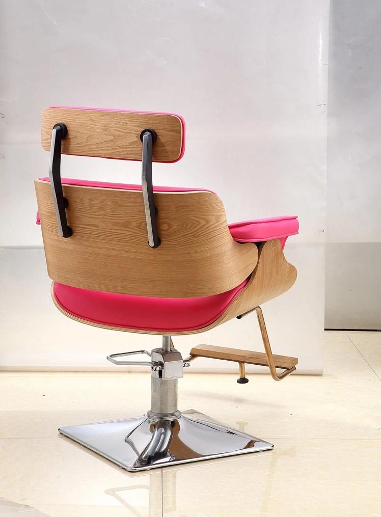 Hl-7246 Salon Barber Chair for Man or Woman with Stainless Steel Armrest and Aluminum Pedal