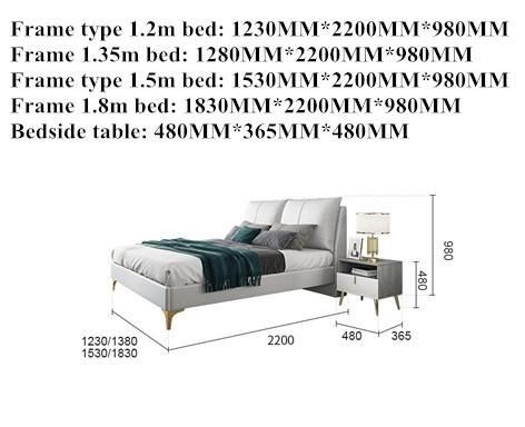 Modern Metal Feet Double Size Multi-Matching Microfiber Leather Bed