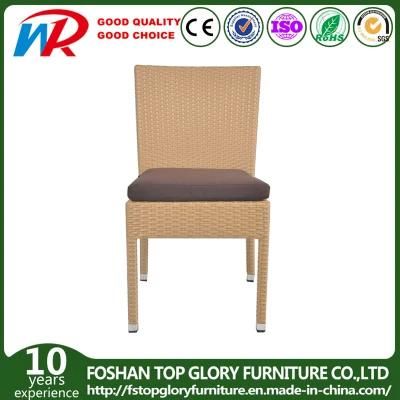 Garden Furniture Bistro Furniture Rattan Furniture Wicker Chair (TG-Y01)