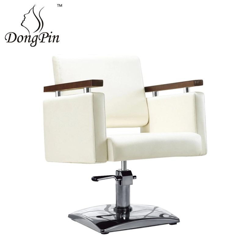 Salon Chair Equipment Salon Chair in Low Price and High Quality