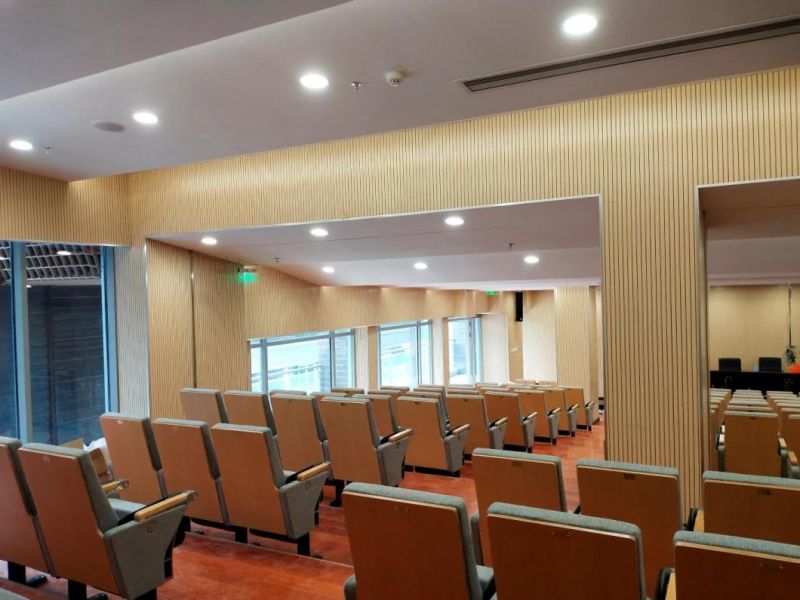 Lecture Hall Economic Classroom School Media Room Theater Auditorium Church Seating