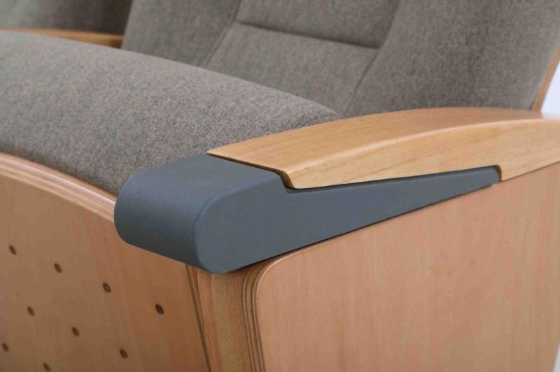 Audience Conference Public Lecture Theater School Theater Church Auditorium Chair