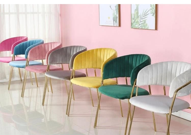 Esszimmerstuhle Samt Restaurant Velvet Green Upholstered Furniture Chair Oleandro Soft Padded Chair Fabric Leather Chair