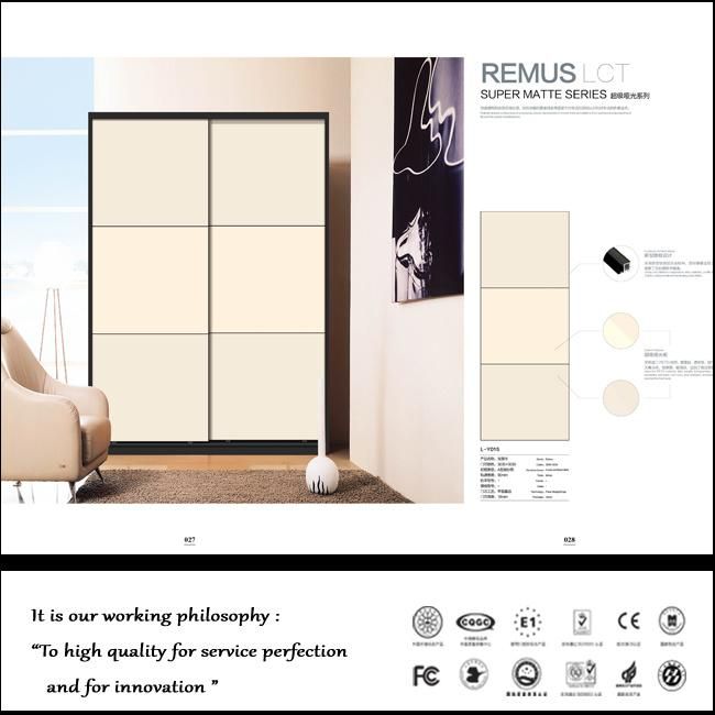 Modern Designs Sliding Door Wardrobes (ZHUV)