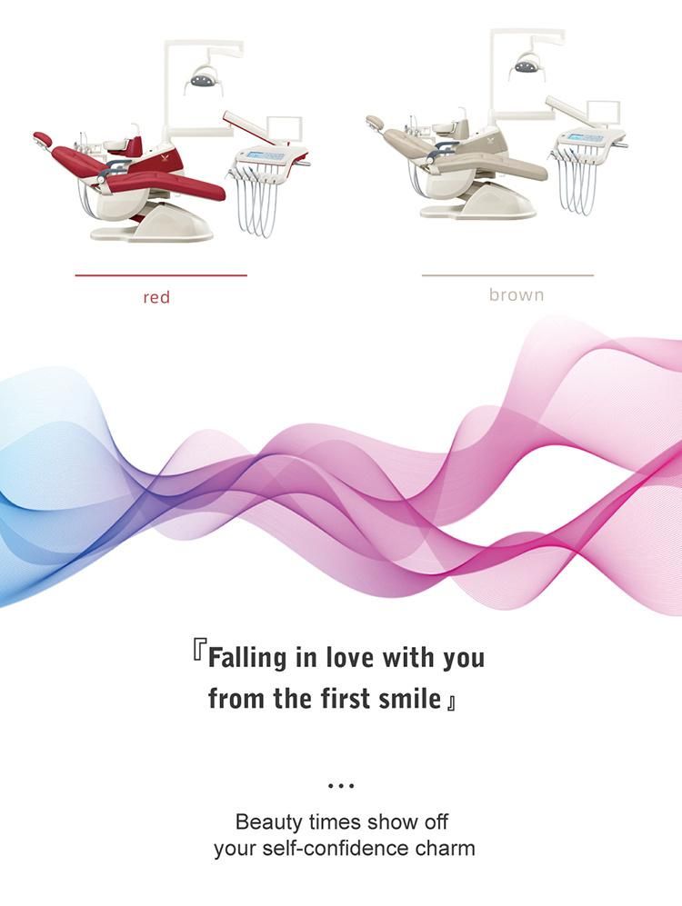 Rotatable Unit Ce&ISO Approved Dental Chair Vintage Dentist Chair/Second Hand Dental Chair/Adec Dental Equipment