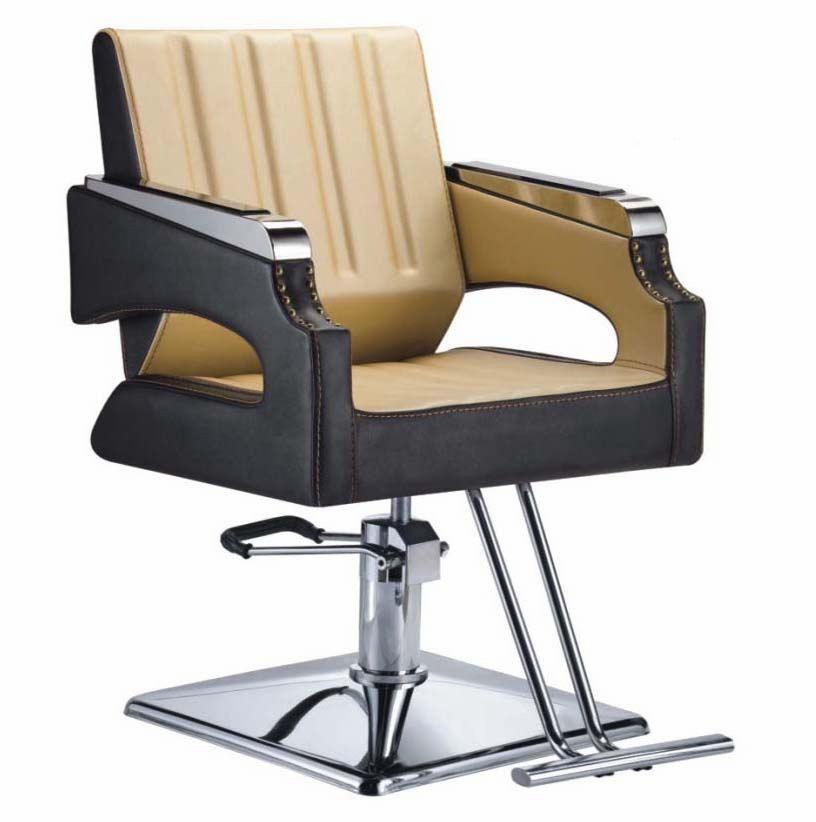 Hl-1179 Salon Barber Chair for Man or Woman with Stainless Steel Armrest and Aluminum Pedal