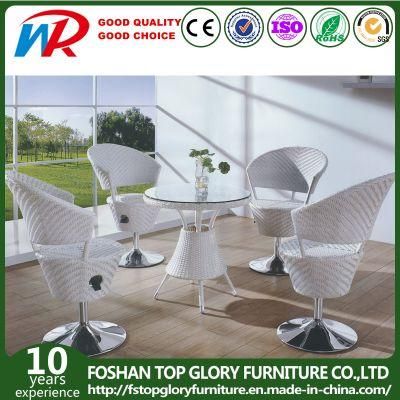 Wholesale Garden Rattan Furniture Home Outdoor Designer Dining Table 6 Chairs Set (TG-1075)