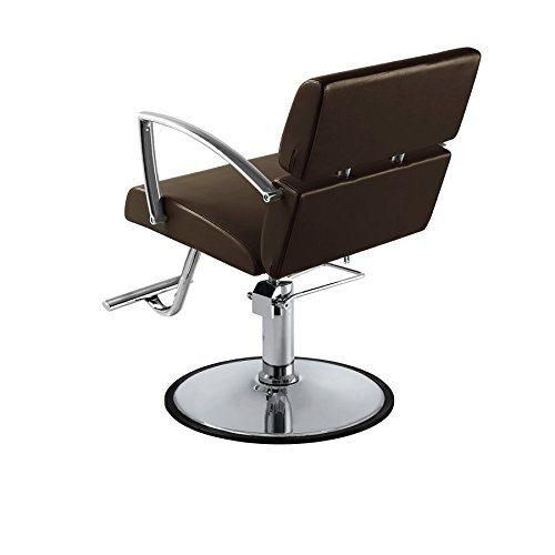 Hl-7281 Salon Barber Chair for Man or Woman with Stainless Steel Armrest and Aluminum Pedal