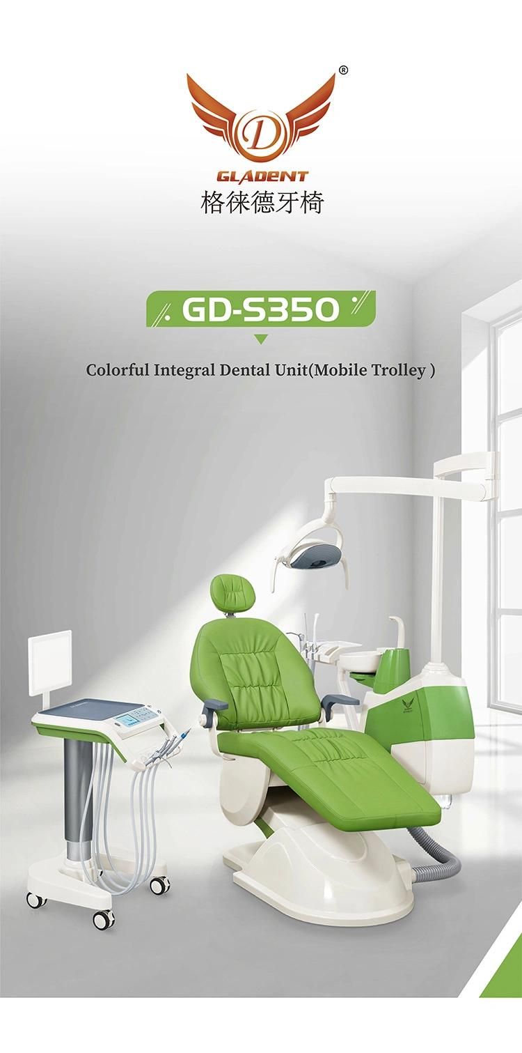 Rotatable Armrest Ce Approved Dental Chair Dental Equipment Service/Baseless Dental Chair/Dennest Furniture