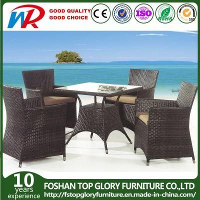 Popular Design Leisure Garden Dining Furniture Aluminum Chair Table Set (TG-1056)