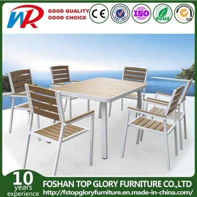 Outdoor Aluminium Frame Polywood Furniture Dining Set (TG-1335)
