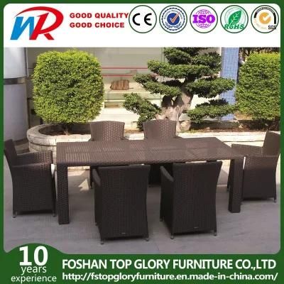 Garden/Patio Rattan Dining Sets for Outdoor Furniture (TG-JW45)