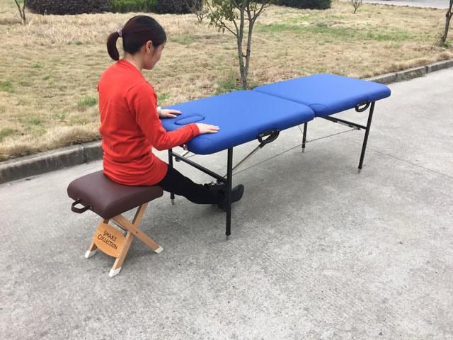 Metal Massage Table, Portable Massage Couch (MT-001)