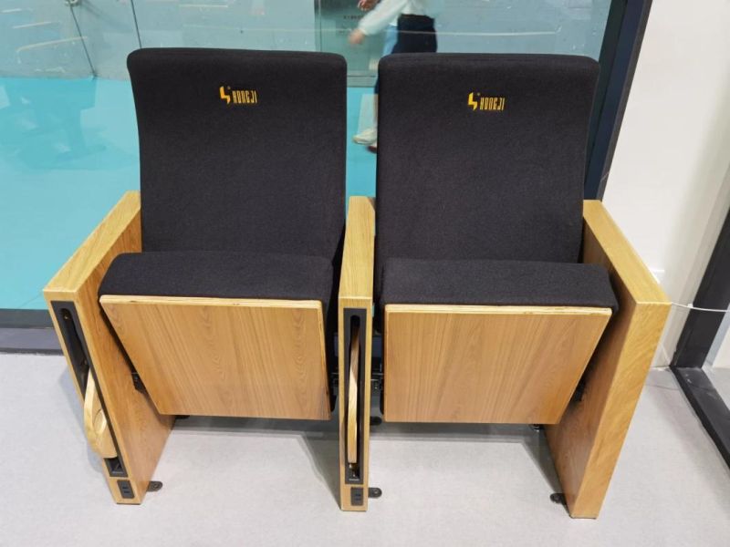 Public Furniture School Conference Cinema Hall Auditorium Theater Chair