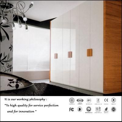 2015 UV MDF High Glossy Open Door Wardrobe (FY0032)