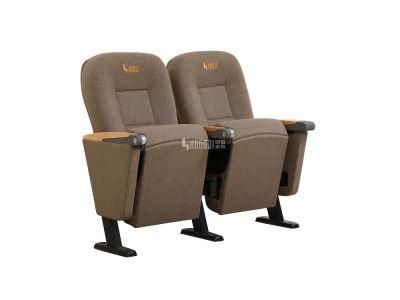 Economic Conference Lecture Hall Cinema Classroom Theater Church Auditorium Seating