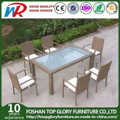 Factory Price Durable Rattan Outdoor Dining Set Furniture (TG-JW70)