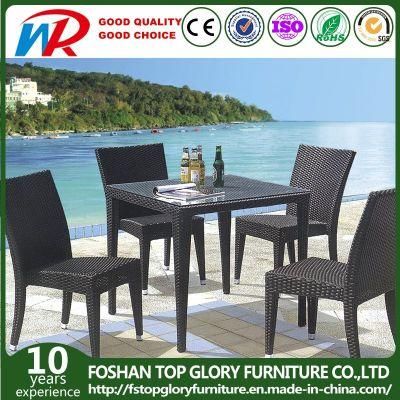Outdoor Rattan Chair and Dining Table Set Manufacturer From China (TG-1665)