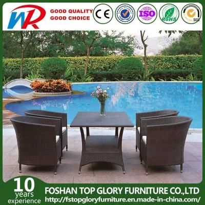 Outdoor Garden Patio Furniture Dining Set (TG-JW55)