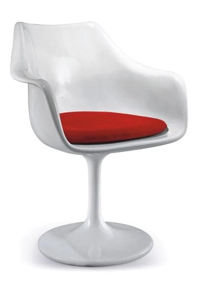 Modern ABS Leisure Chair (SZ-LC529)