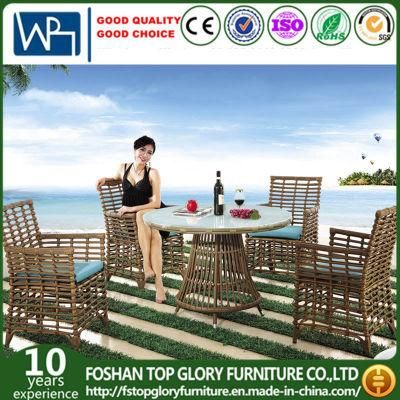 Modern Leisure Outdoor Rattan Garden Wicker Dining Table Chairs (TG-1303)