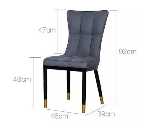 New Model Leather Dining Chair with Paint Frame
