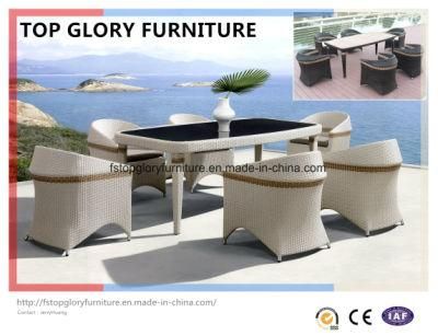 Garden Patio Wicker Rattan Dining Sets Outdoor Furniture (TG-1613)