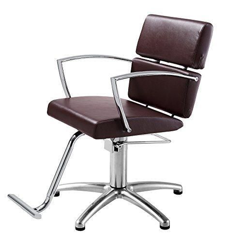 Hl-7281 Salon Barber Chair for Man or Woman with Stainless Steel Armrest and Aluminum Pedal