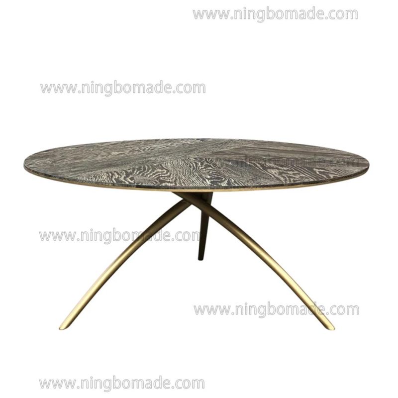 Nordic Retro Vintage Antique Furniture Weather Brown Oak and Shinning Brass Metal Coffee Table Tripod