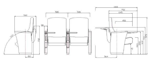 Lecture Theater Audience Economic Public School Theater Church Auditorium Furniture