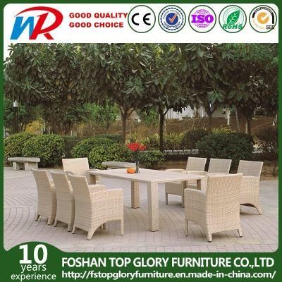 Garden Wicker Rattan/Patio Dining Sets for Outdoor Furniture (TG-JW48)