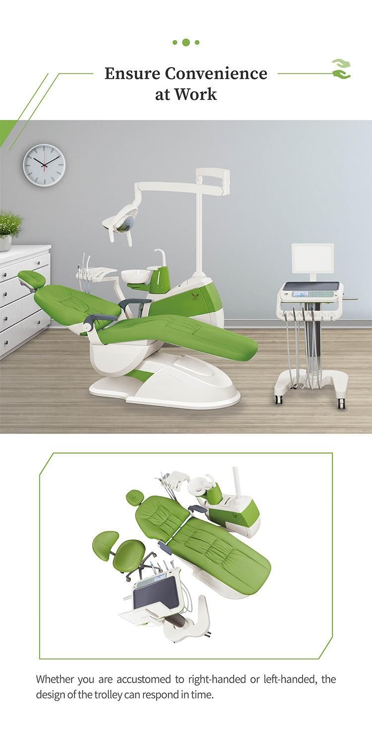 Ce Approved Luxury Dental Chair /Unit with Real Leathe