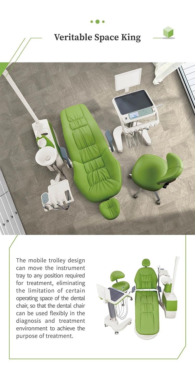 Rotatable Armrest Ce Approved Dental Chair Dental Equipment Service/Baseless Dental Chair/Dennest Furniture