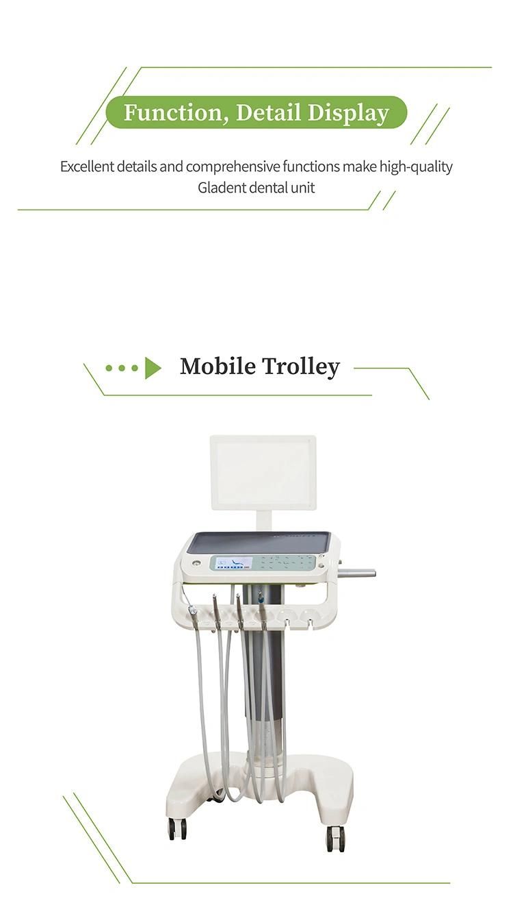 Rotatable Armrest Ce Approved Dental Chair Dental Equipment Service/Baseless Dental Chair/Dennest Furniture