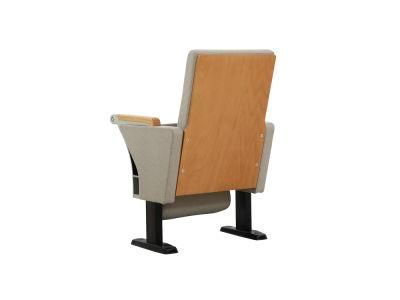 Cinema Audience Conference Lecture Theater Public Auditorium Church Theater Chair
