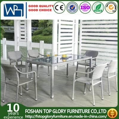 Garden/Patio Rattan Dining Sets for Outdoor Furniture (TG-1620)