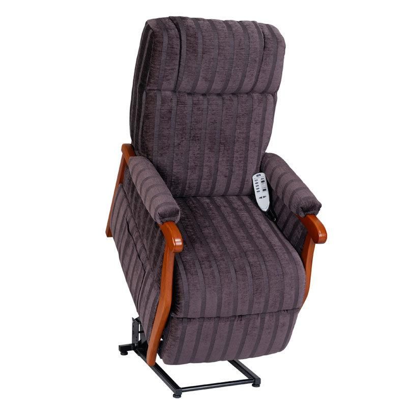 Modern Style Lift Chair with Massage (QT-LC-05)