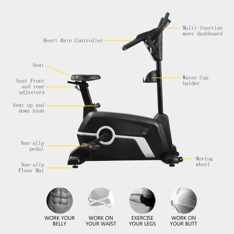 2022 Hot Selling Equipment Spinning Cross Trainer Vertical Magnetic Bike