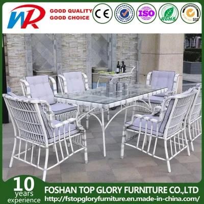 Rattan Dining Table Set with Six Chair (TG-1667)