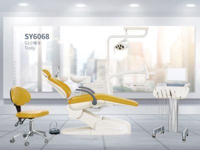 Guangzhou PU Leather Luxury Dental Chair Unit with Mobile Trolly CE ISO Approved