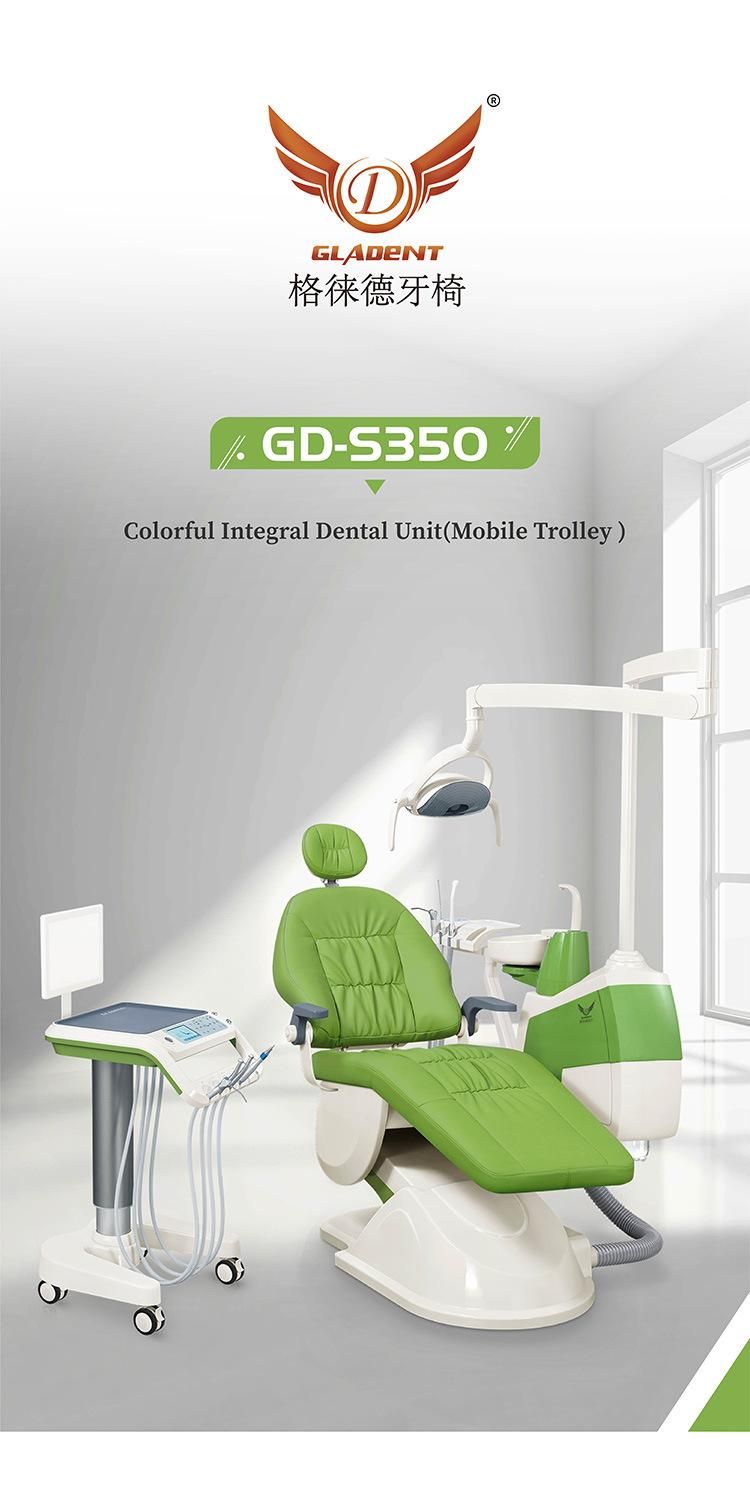 Ce Approved Luxury Dental Chair /Unit with Real Leathe