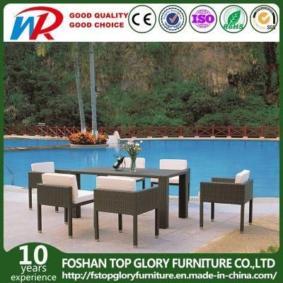 Garden Rattan Dining Chairs and Table Outdoor Dining Furniture Set (TG-JW63)