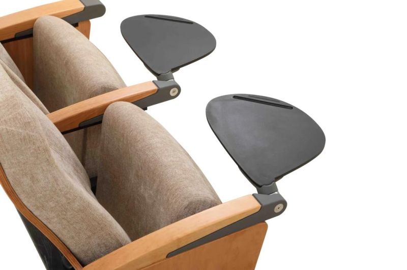 Classroom Audience Economic Public Lecture Hall Church Theater Auditorium Chair