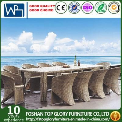 10 Seater Wicker Dining Table Set Outdoor Rattan Dining Furniture (TG-288)