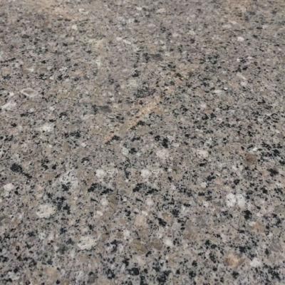 Cheap Prefabricate Granite Hall Floor Stones Stone Furniture