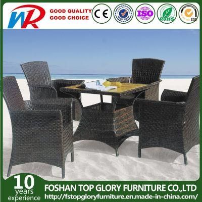 Garden Patio Furniture New Wicker Outdoor Indoor Dining Table and Chair Set (TG-1057)