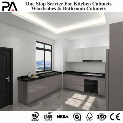 PA Kitchen Ideas Compact Mini Cheap Pantry Closet New Model Cupboards Design Kitchen Cabinet
