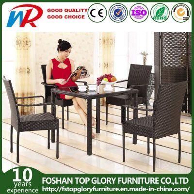 Garden Patio Wicker / Rattan Furniture Dining Set (TG-608)