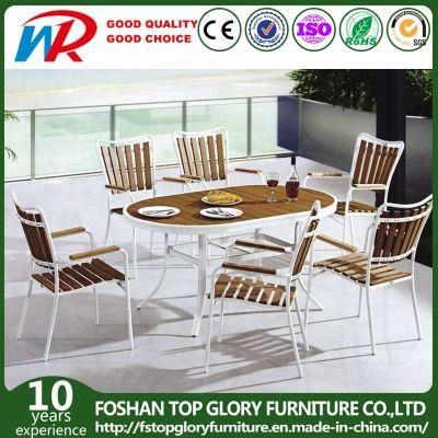 Plastic Wood Dining Set, Garden Dining Set, Plastic Wooden Furniture (TG-1293)